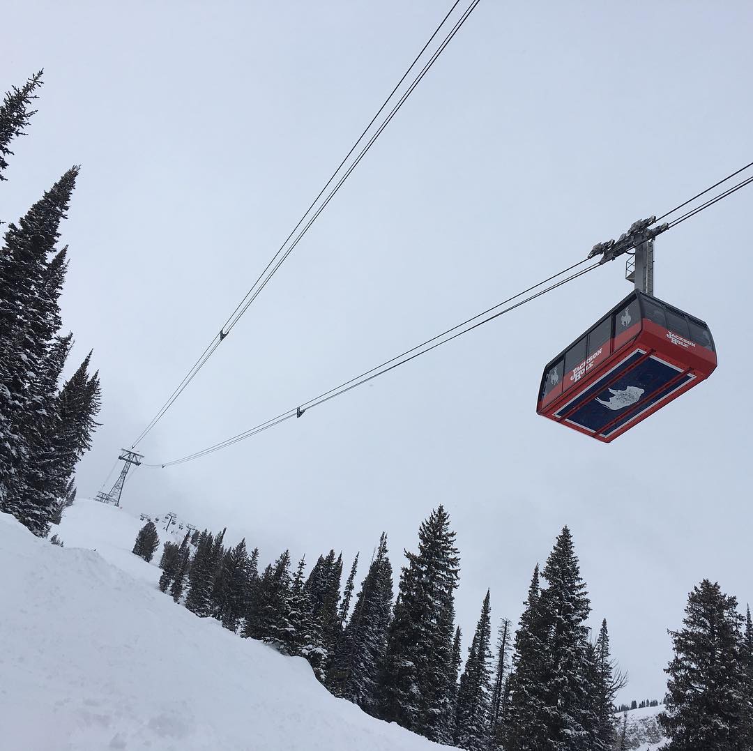 day 09. 01.20.18
#rendezvous #rendezvousmountain #rendezvousmtn #jacksonhole #jhmr #tram #powder #powderday #nofriendsonpowderdays #snowboarding