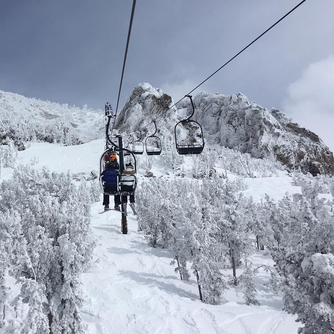 day 16. 03.17.2018 #powder #elevationgayski #surfacehoar #mammothbackside #frosted #nofriendsonpowderdays #offpiste #snowboarding #mammoth #mammothmountain #mammothlakes #mammothstories #mammothmarch
